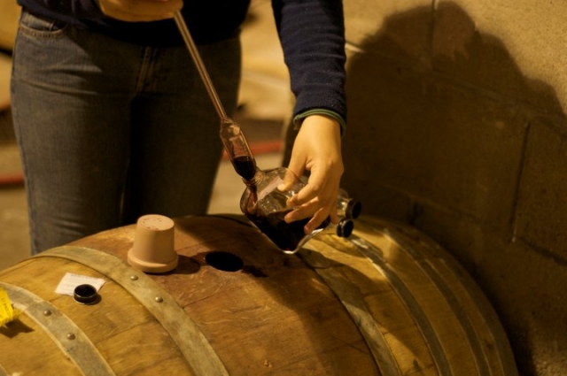 Procesos de elaboracion